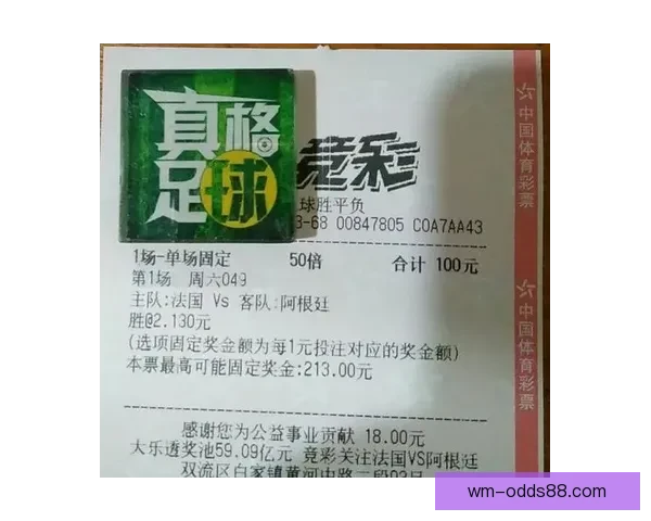 世界杯竞猜网站全攻略新手入门投注技巧与赛事预测深度解析指南